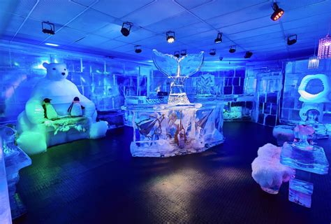 Ice Bar Fever: Why People Can't Get Enough of This Magical Trend